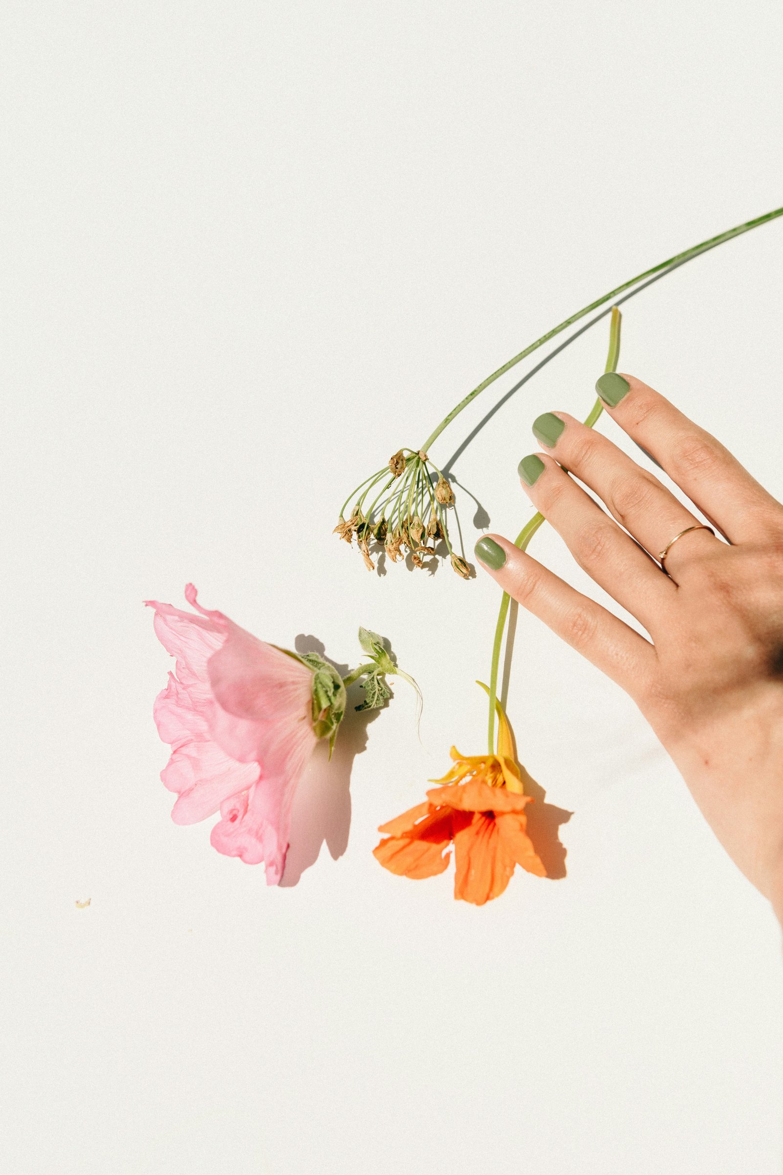 Manicure 5